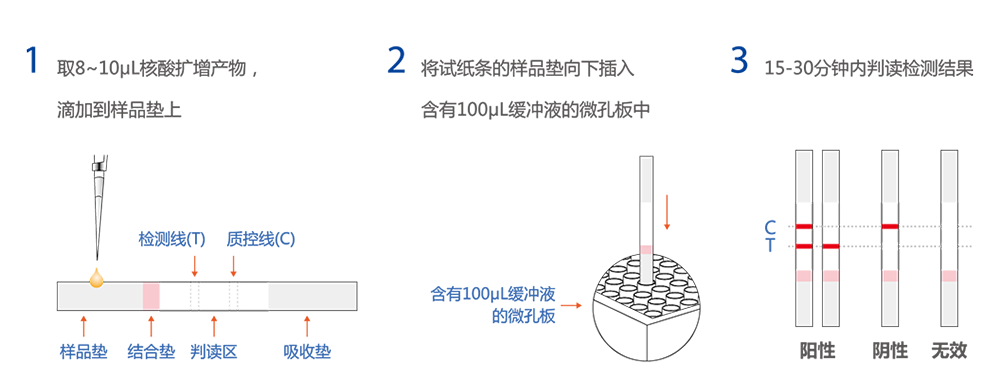 一次性核酸检测试纸条